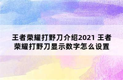 王者荣耀打野刀介绍2021 王者荣耀打野刀显示数字怎么设置